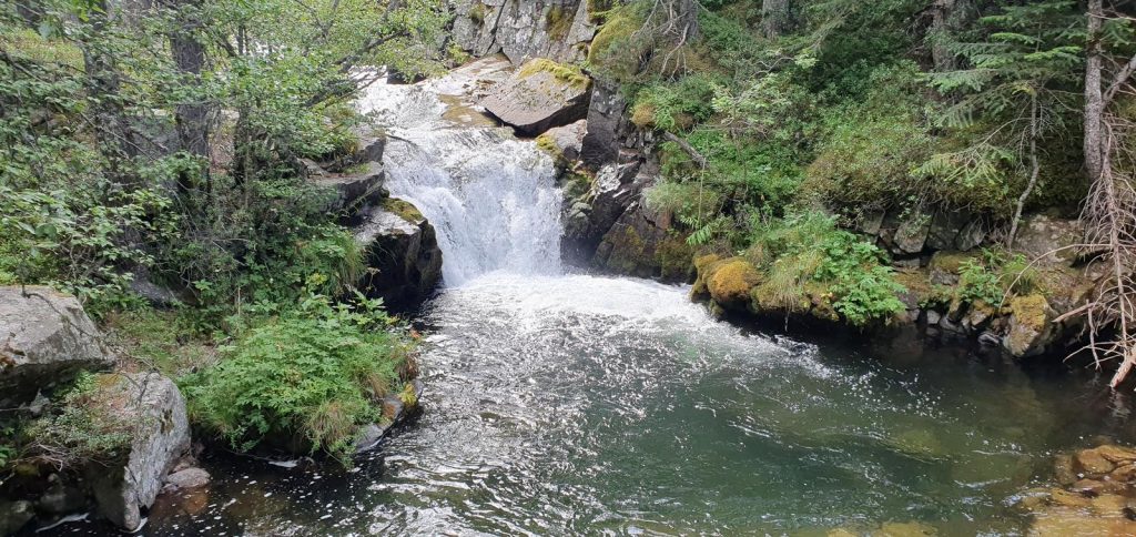 Vall del Madriu / VdM