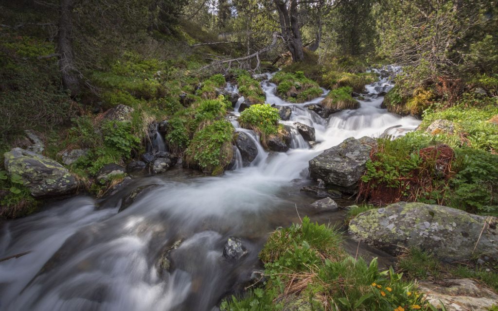Parc Natural de la Vall de Sorteny / PNVS
