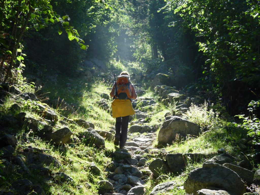 Una dona passeja per un bisc d'Andorra / Commons