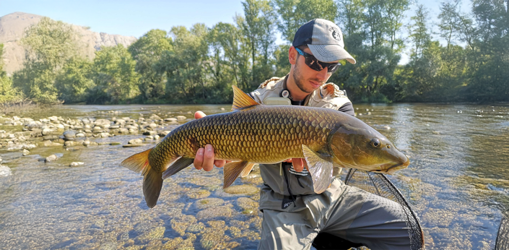 Pesca a Andorra / Riduscalpo