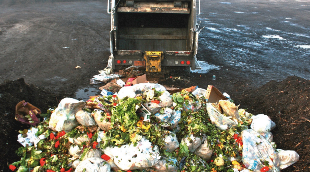 Residus alimentaris / Eco