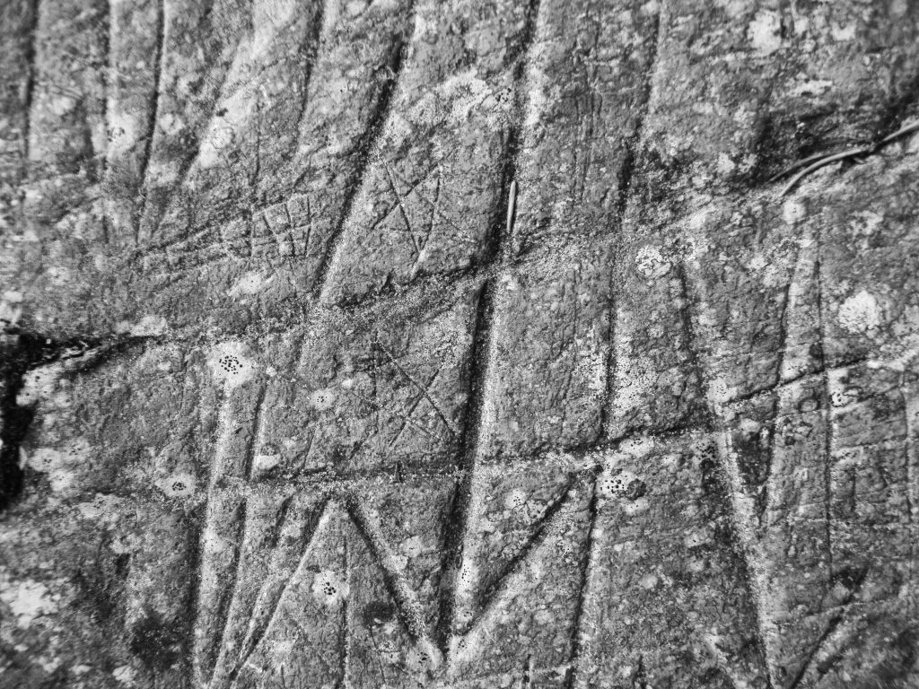 Pentagrames en el Roc de les Bruixes / Perennial Pyrenes
