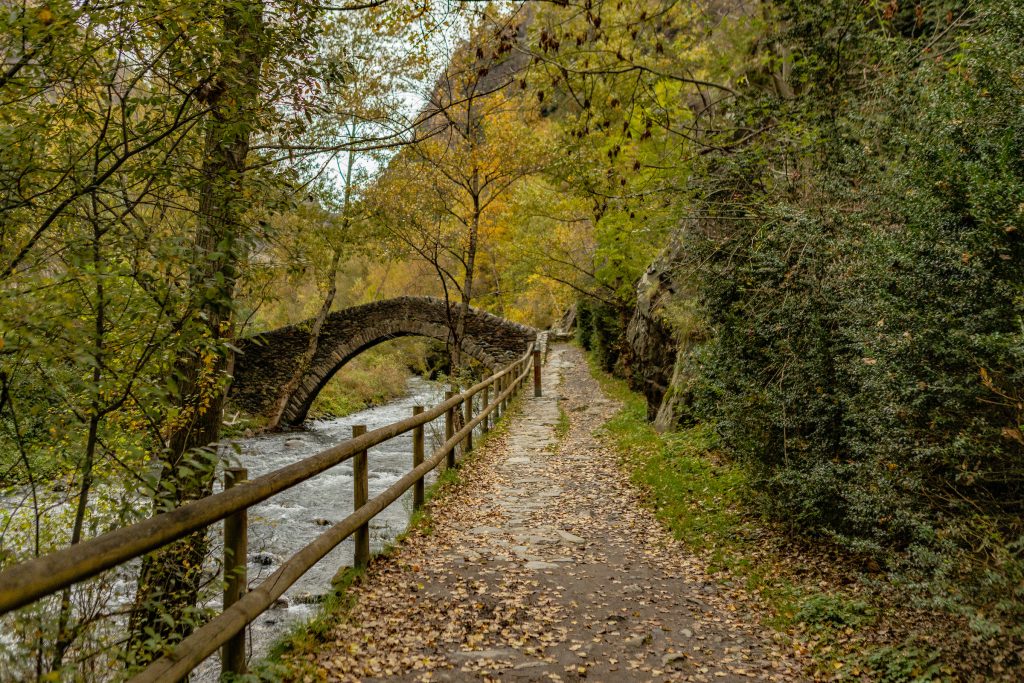 Gaudir de la natura / visitandorra